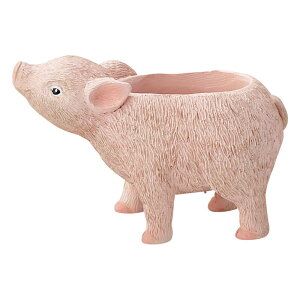 Aؔ  FV/RV|bg/5E4073y01z K[fjOE|pi t[|bg W