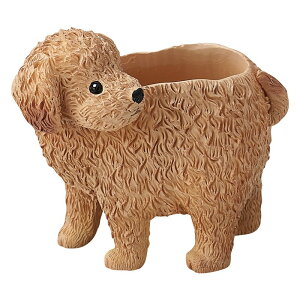 Aؔ  FV/LjbV|bg/5E4077y01z K[fjOE|pi t[|bg W