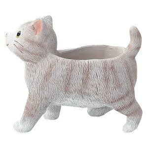 Aؔ  FV/Vg|bgGY/5E4078y01z K[fjOE|pi t[|bg W