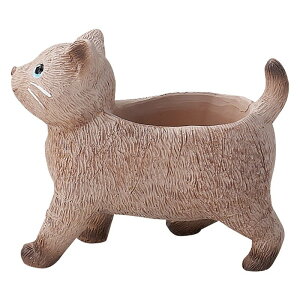 Aؔ  FV/Vg|bgBR/5E4079y01z K[fjOE|pi t[|bg W