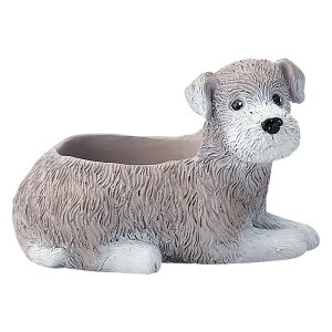 Aؔ  FV/VNVF|bgS/5E4080y01z K[fjOE|pi t[|bg W