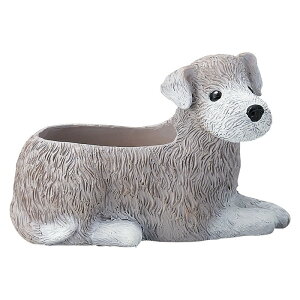 Aؔ  FV/VNVF|bgM/5E4081y01z K[fjOE|pi t[|bg W