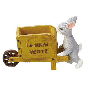 Aؔ  FV/pJ[gY/5E4082y01z K[fjOE|pi t[|bg W