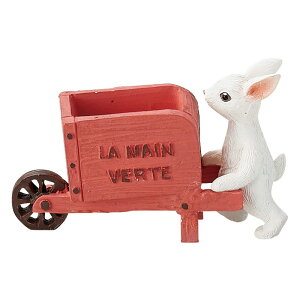 Aؔ  FV/pJ[gP/5E4083y01z K[fjOE|pi t[|bg W