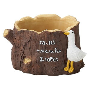 Aؔ  FV/[Ji[|bg/5E4084y01z K[fjOE|pi t[|bg W