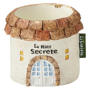 Aؔ  FV/XNT[NS/5E4101y01z K[fjOE|pi t[|bg W