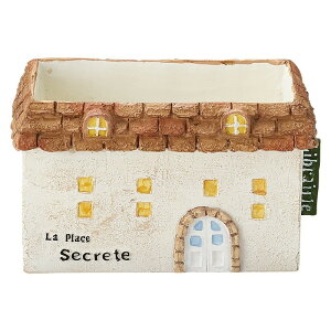 Aؔ  FV/XNChM/5E4104y01z K[fjOE|pi t[|bg W