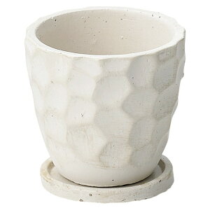 FV/hD[XT[NMWiMtj/TD627y01z K[fjOE|pi AؔEt[|bg Zg