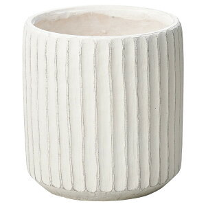 Aؔ  FV/o[`JEhSW/GF4295y01z K[fjOE|pi t[|bg OXt@Co[