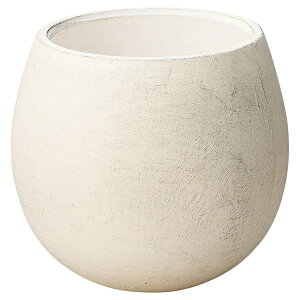 Aؔ  FV/VG{EMW/GF4303y01z K[fjOE|pi t[|bg OXt@Co[