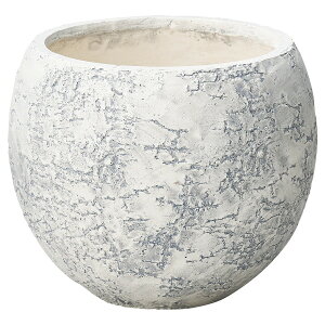 Aؔ  FV/o[`{ESW/GF4320y01z K[fjOE|pi t[|bg OXt@Co[