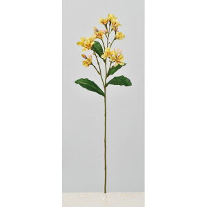 yԁzAXJ/EBVA×11 ڂ×30 CG[p[v/A-34569-10Ey01z ԁiA[eBtBVt[j  ԍށusv ̑usvԉԍ