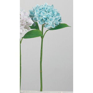 yԁzAXJ/nChWA ^[RCY/A-34611-29y01z ԁiA[eBtBVt[j  ԍށusv izԁj