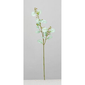 yԁzAXJ/[JV[hXv[ V[tH[O[/A-44232-59Sy01z ԁiA[eBtBVt[j ԗtAtFCNO[ A