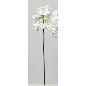 yԁzAXJ/nChWA zCg/A-34590-1y01z ԁiA[eBtBVt[j  ԍށusv izԁj