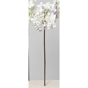 yԁzAXJ/nChWA zCgsN/A-34590-1Py01z ԁiA[eBtBVt[j  ԍށusv izԁj