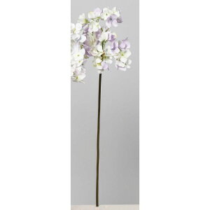 yԁzAXJ/nChWA zCgx_[/A-34590-6Wy01z ԁiA[eBtBVt[j  ԍށusv izԁj