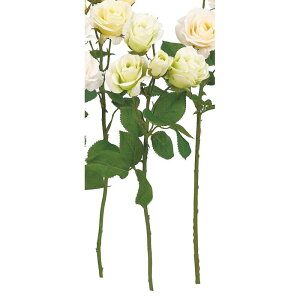 yԁzAXJ/[Y×3 ڂ×2 zCgO[/A-34617-52y01z ԁiA[eBtBVt[j  ԍށu͍sv o