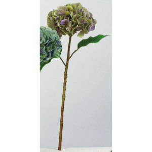 yԁzAXJ/nChWA O[p[v/A-34547-53Py01z ԁiA[eBtBVt[j  ԍށusv izԁj