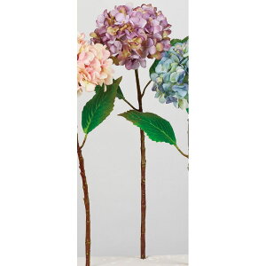 yԁzAXJ/nChWA p[vCG[/A-34568-7Yy01z ԁiA[eBtBVt[j  ԍށusv izԁj