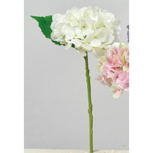 yԁzAXJ/nChWA zCg/A-34546-1y01z ԁiA[eBtBVt[j  ԍށusv izԁj