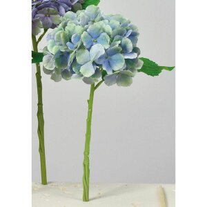 yԁzAXJ/nChWA Cgu[O[/A-34546-19Gy01z ԁiA[eBtBVt[j  ԍށusv izԁj