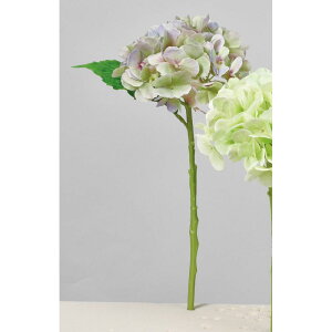 yԁzAXJ/nChWA O[sN/A-34546-51Py01z ԁiA[eBtBVt[j  ԍށusv izԁj