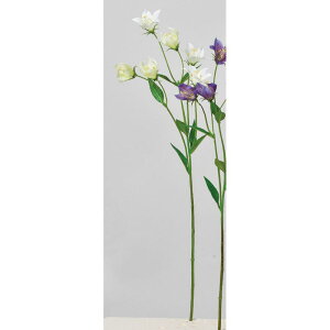 yԁzAXJ/LLE×6 zCg/A-34559-1y01z ԁiA[eBtBVt[j  ԍށusv gRLLE