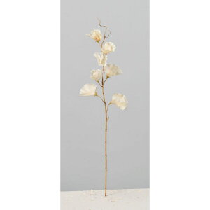 yԁzAXJ/XCgs[×7 AC{[/A-34501-91y01z ԁiA[eBtBVt[j  ԍށusv XCgs[