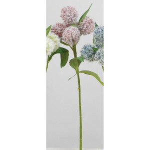 �y���ԁz�A�X�J/�A�U�~×5 ���b�h/A-34528-2�y01�z ���ԁi�A�[�e�B�t�B�V�����t�����[�j �G�����W���[�� �t�F�C�N�t�����[ �V���N�t�����[ �C���e���A �ԍ� ���� �f�B�X�v���C ���� �A�����W��