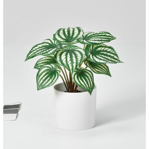 ylHϗtAzAXJ/yy~Ai|bgtj @QCgO[/A-51050-51Vy01z ԁiA[eBtBVt[j ԗt ԁElHϗtA |bg