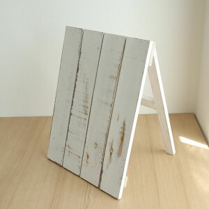 SG Wonder zone/ؐC[[L@WH/132-739035-23y07z X܃fBXvCEX X܃CeAEG C[[