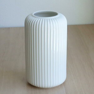 NC/Calme WHITE/366-435-100y01z ԊA[X ԊEԕr Ԋ