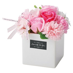 y\[vt[zzr[/V{AW sN/GM-4556y01z[6R] vU[uht[ tOX\[vt[ \[vt[i