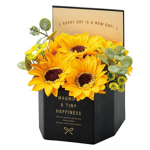 y\[vt[zzr[/Ђ܂V{ZpBOX S /GM-5109y01z vU[uht[ tOX\[vt[ \[vt[i