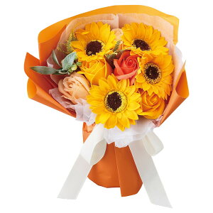 y\[vt[zzr[/X^fBOu[P M Ђ܂^[Y/GM-5116y01z[15R] vU[uht[ tOX\[vt[ \[vt[i