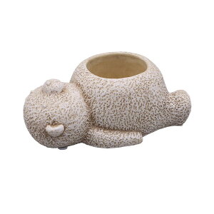 �A�ؔ� ������� DELLKI/�A�����|�b�g �x�A�[L�|WH/KL16WH�y07�z[3��] �K�[�f�j���O�E���|�p�i �t�����[�|�b�g �Z�����g��