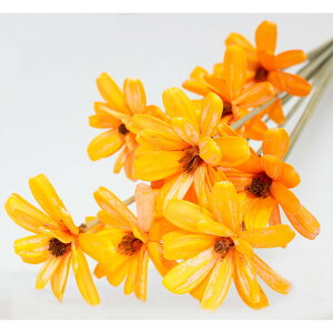 �y�n���h���C�h�t�����[�zGARDEN PALETTE MONO/�V�[�h�t�����[ 10�{ �I�����W/GPSD-06�y01�z �h���C�t�����[ �\���t�����[ ���̑��\���t�����[�\�[���[�t�����[ �ԍ� �n���h���C�h�ޗ� �N���t�g�f��