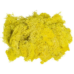 yvU[uhzGARDEN PALETTE MONO/ACXhX 50g }X^[h/GPM-18y01z vU[uht[ vU[uhO[ XE