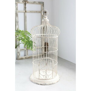 RxgK[f/uEg[P[W/LW-73y07z X܃fBXvCEX X܃CeAEG (o[hQ[W)