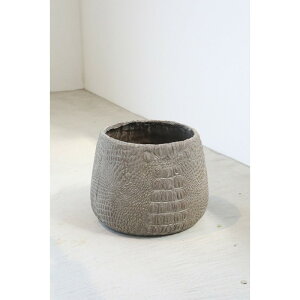 Aؔ  RxgK[f/XL[E{g|bgL/QW-73y07z K[fjOE|pi t[|bg W