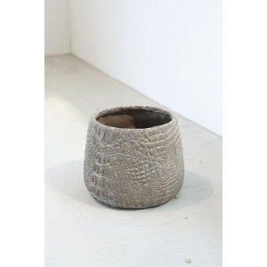 RxgK[f/XL[E{g|bgS/QW-74y07z K[fjOE|pi AؔEt[|bg W