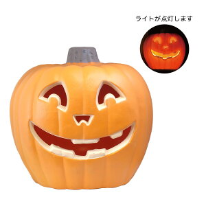 GREENHOUSE/HWfBXvCCg ܂܂邩ڂ XL/HW624y01z X܃fBXvCEX nEBfBXvC nEB^