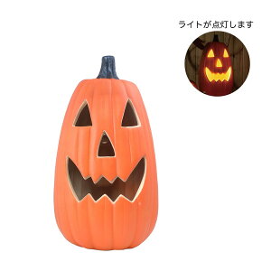 GREENHOUSE/HWfBXvCCg גڂ L/HW627y01z X܃fBXvCEX nEBfBXvC nEB^