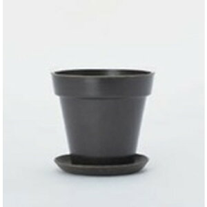 FARM/GR|bg NVbN12 Ki\[T[tj/22005Hy07z[8] K[fjOE|pi AؔEt[|bg GR|bg