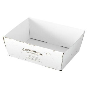 HEADS/�A���e�B�[�N�z���C�g�y�[�p�[�M�t�g�g���C�|2�^�n�[�t�i20���j/AQW-GT2H�y01�z �Ԋ�A���[�X �Ԋ�E�ԕr �����Ԋ�