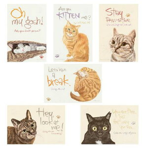 HEADS/`eB[Aj}A\[gJ[h|1i30j/CHRA-C1y01z bsOpi A bZ[WJ[h O[eBOJ[h