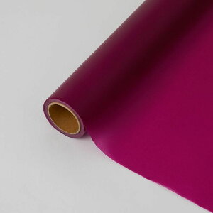 HOSHINO/[Y30 NOD15iA}gj 30x20/331055y07z bsOpi A bsOy[p[() aEN[v