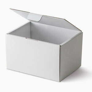 yzHOSHINO/Ԃǂ̔ 1[iLj × iIBD|1PL NOD4j/661648ԕiEsy07z[25] bsOpi A bsOEMtg{bNX y[p[{bNX()