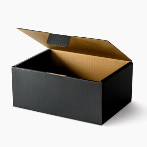 yzHOSHINO/Ԃǂ̔ 2[ × iIBD|2P NOD2j/661638ԕiEsy07z[25] bsOpi A bsOEMtg{bNX y[p[{bNX()